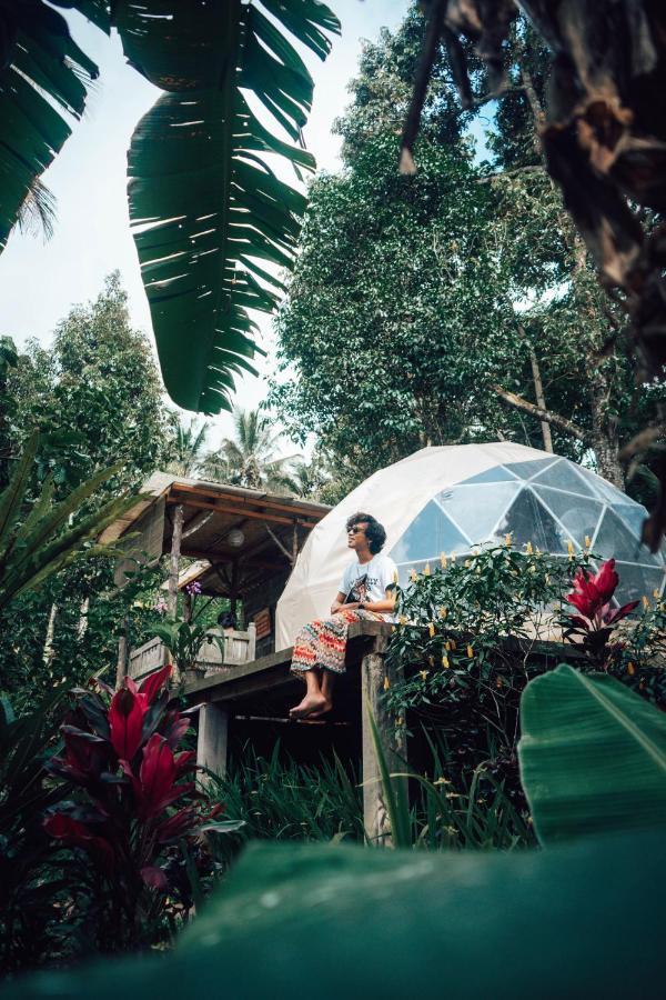 Bali Jungle Camping By Amerta Experience Табанан Екстер'єр фото