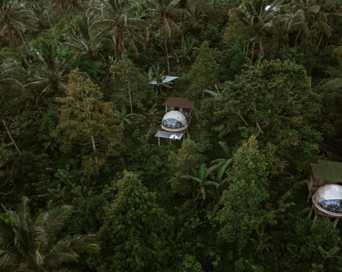Bali Jungle Camping By Amerta Experience Табанан Екстер'єр фото