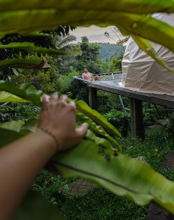 Bali Jungle Camping By Amerta Experience Табанан Екстер'єр фото