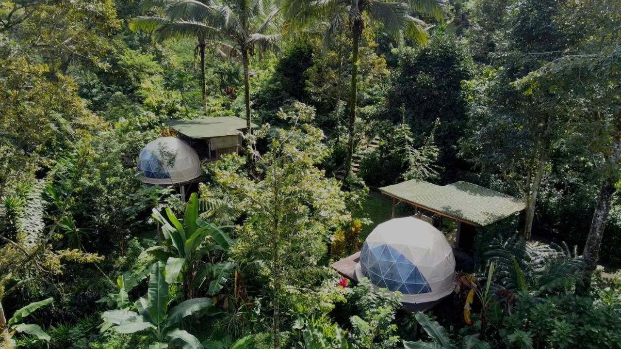 Bali Jungle Camping By Amerta Experience Табанан Екстер'єр фото