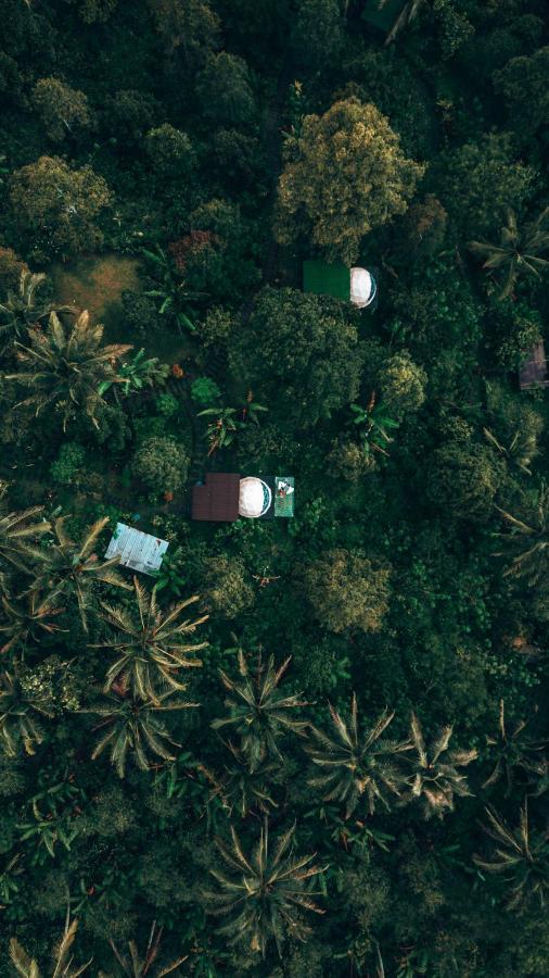 Bali Jungle Camping By Amerta Experience Табанан Екстер'єр фото